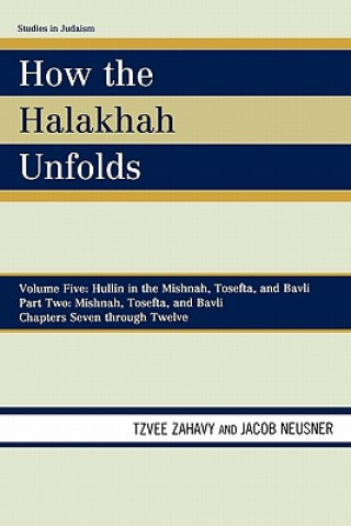 Könyv How the Halakhah Unfolds Tzvee Zahavy