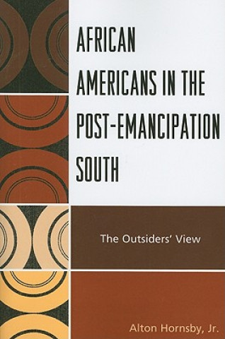 Kniha African Americans in the Post-Emancipation South Alton Hornsby
