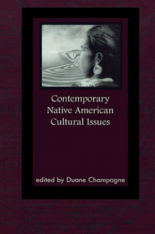 Könyv Contemporary Native American Cultural Issues Duane Champagne