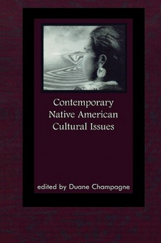 Kniha Contemporary Native American Cultural Issues Duane Champagne