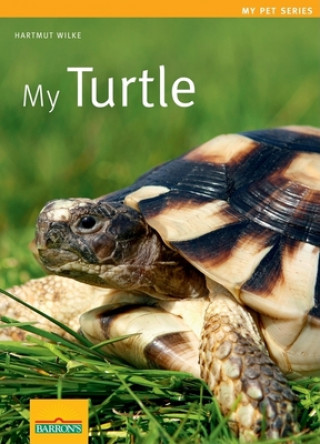 Buch My Turtle Hartmut Wilke