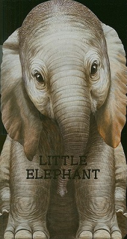 Kniha Little Elephant L. Rigo