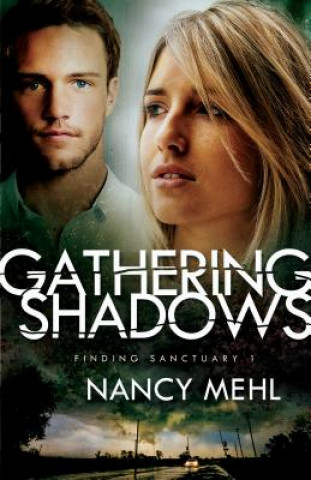 Книга Gathering Shadows Nancy Mehl
