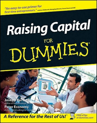 Buch Raising Capital for Dummies Joseph W. Bartlett