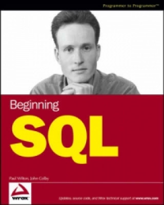 Kniha Beginning SQL Paul Wilton