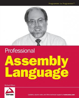 Kniha Professional Assembly Language Richard Blum