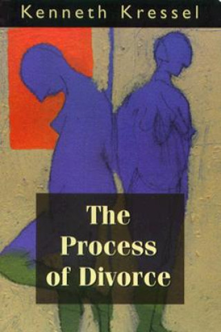 Knjiga Process of Divorce Kenneth Kressel