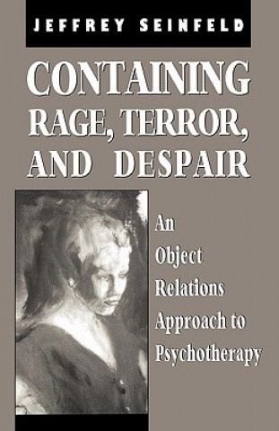 Buch Containing Rage, Terror and Despair Jeffrey Seinfeld