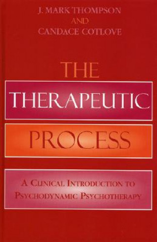 Könyv Therapeutic Process J. Mark Thompson