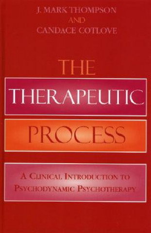 Buch Therapeutic Process J. Mark Thompson