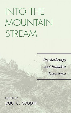 Libro Into the Mountain Stream Paul C. Cooper