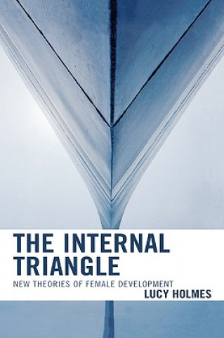 Книга Internal Triangle Lucy Holmes