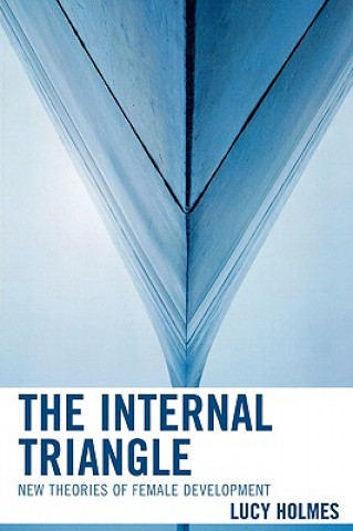 Kniha Internal Triangle Lucy Holmes