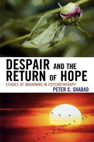 Knjiga Despair and the Return of Hope Peter C. Shabad