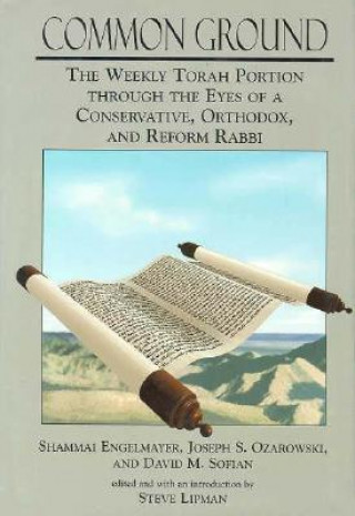 Knjiga Common Ground David M. Sofian
