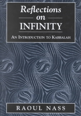 Knjiga Reflections on Infinity Kalman Serkez
