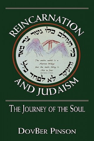 Book Reincarnation and Judaism DovBer Pinson