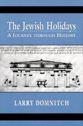 Книга Jewish Holidays Larry Domnitch