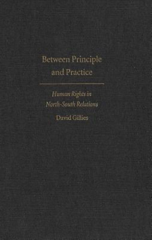 Knjiga Between Principle and Practice David Gillies