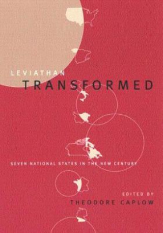 Boek Leviathan Transformed Theodore Caplow