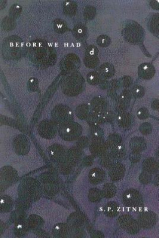 Knjiga Before We Had Words Sheldon P. Zitner