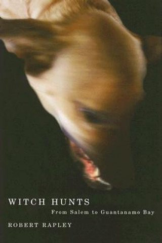 Βιβλίο Witch Hunts Robert Rapley