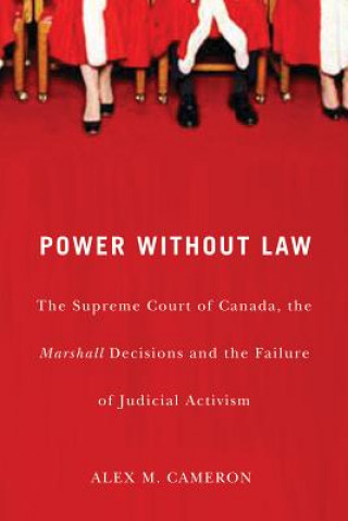 Könyv Power without Law Alex M. Cameron