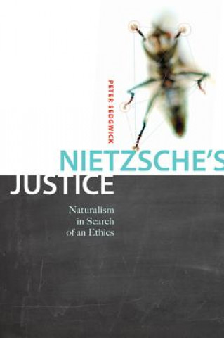 Libro Nietzsche's Justice Peter R. Sedgwick