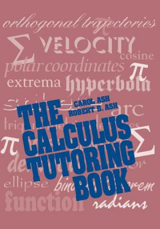 Książka Calculus Tutoring Book Ash