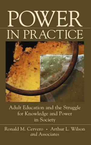 Boek Power in Practice Ronald M. Cervero