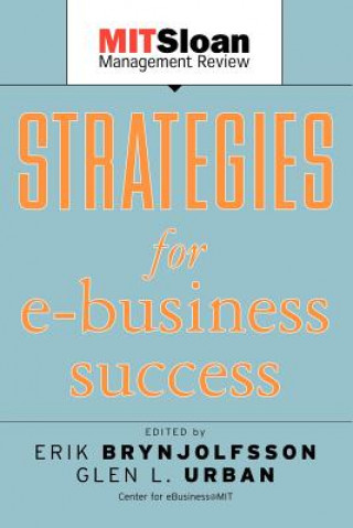 Kniha Strategies for E-Business Success Erik Brynjolfsson