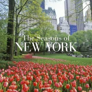 Kniha Seasons of New York Charles J. Ziga