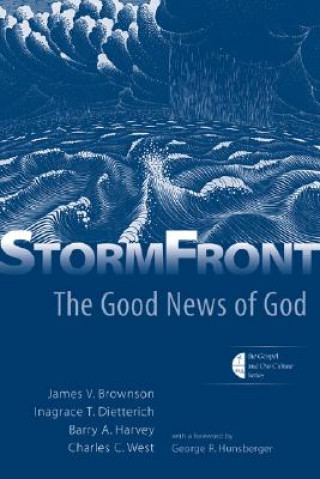Knjiga Stormfront James V. Brownson