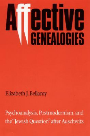 Книга Affective Genealogies Elizabeth J. Bellamy