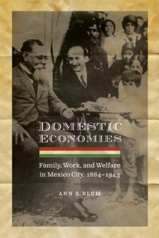 Kniha Domestic Economies Ann Shelby Blum