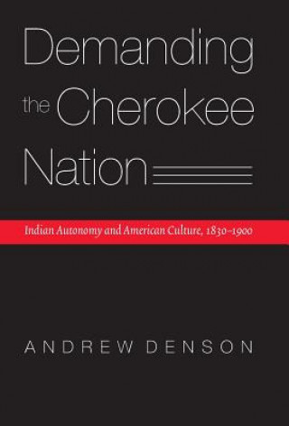 Könyv Demanding the Cherokee Nation Andrew Denson