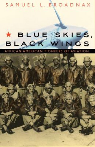 Buch Blue Skies, Black Wings Samuel L. Broadnax