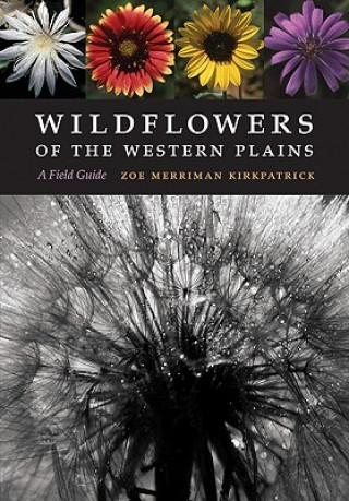 Książka Wildflowers of the Western Plains Zoe Merriman Kirkpatrick