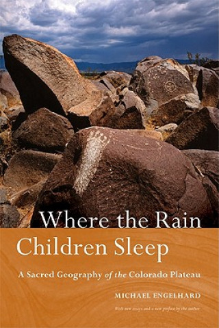 Книга Where the Rain Children Sleep Michael Engelhard