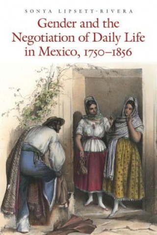 Book Gender and the Negotiation of Daily Life in Mexico, 1750-1856 Sonya Lipsett-Rivera