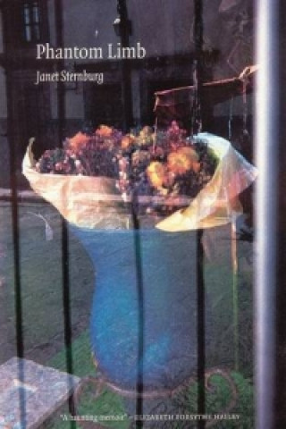 Buch Phantom Limb Janet Sternburg