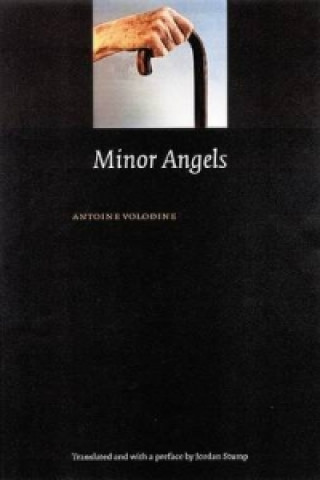 Könyv Minor Angels Antoine Volodine