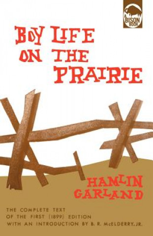 Buch Boy Life on the Prairie Hamlin Garland