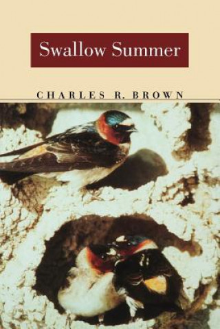 Buch Swallow Summer Charles R. Brown