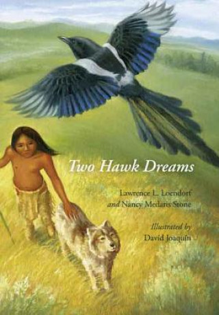 Carte Two Hawk Dreams Nancy Medaris Stone