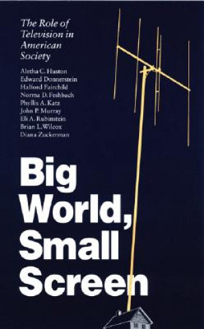 Knjiga Big World, Small Screen Aletha C. Huston