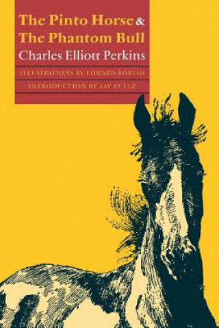 Carte Pinto Horse and The Phantom Bull Charles Elliott Perkins