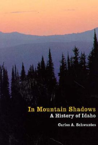 Könyv In Mountain Shadows Carlos A. Schwantes