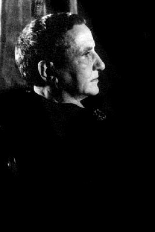 Kniha Gertrude Stein Remembered 