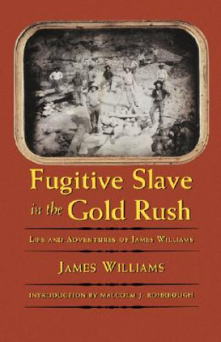 Kniha Fugitive Slave in the Gold Rush Malcolm J. Rohrbough